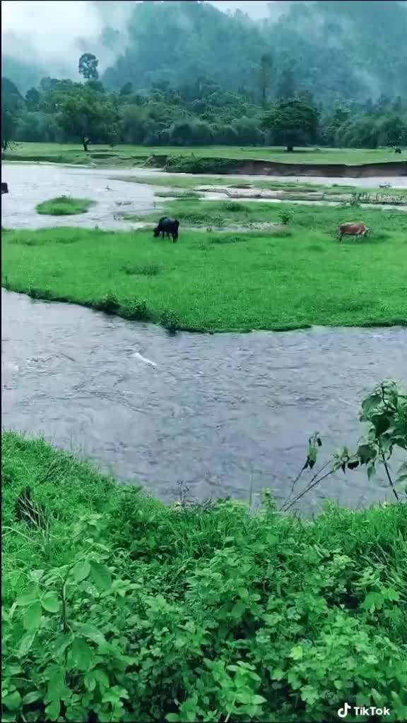 @Vinod kumar T v