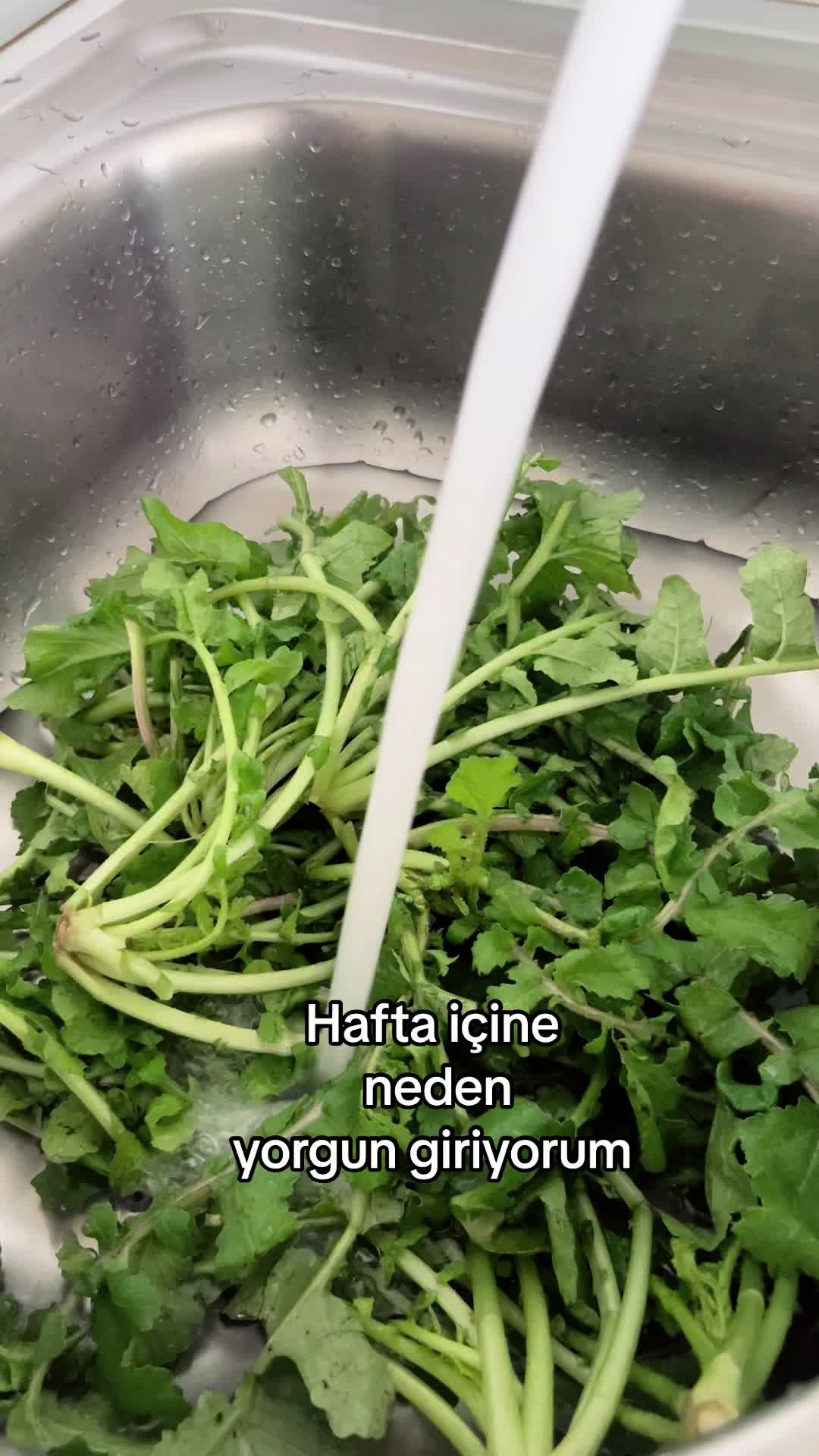 @Ekolojik D&uuml;nya