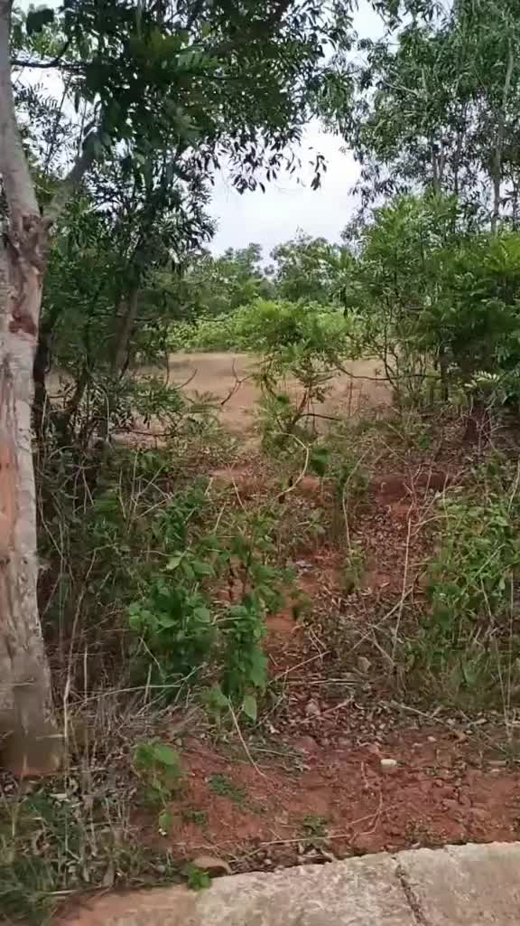 @RJ_Sarkar