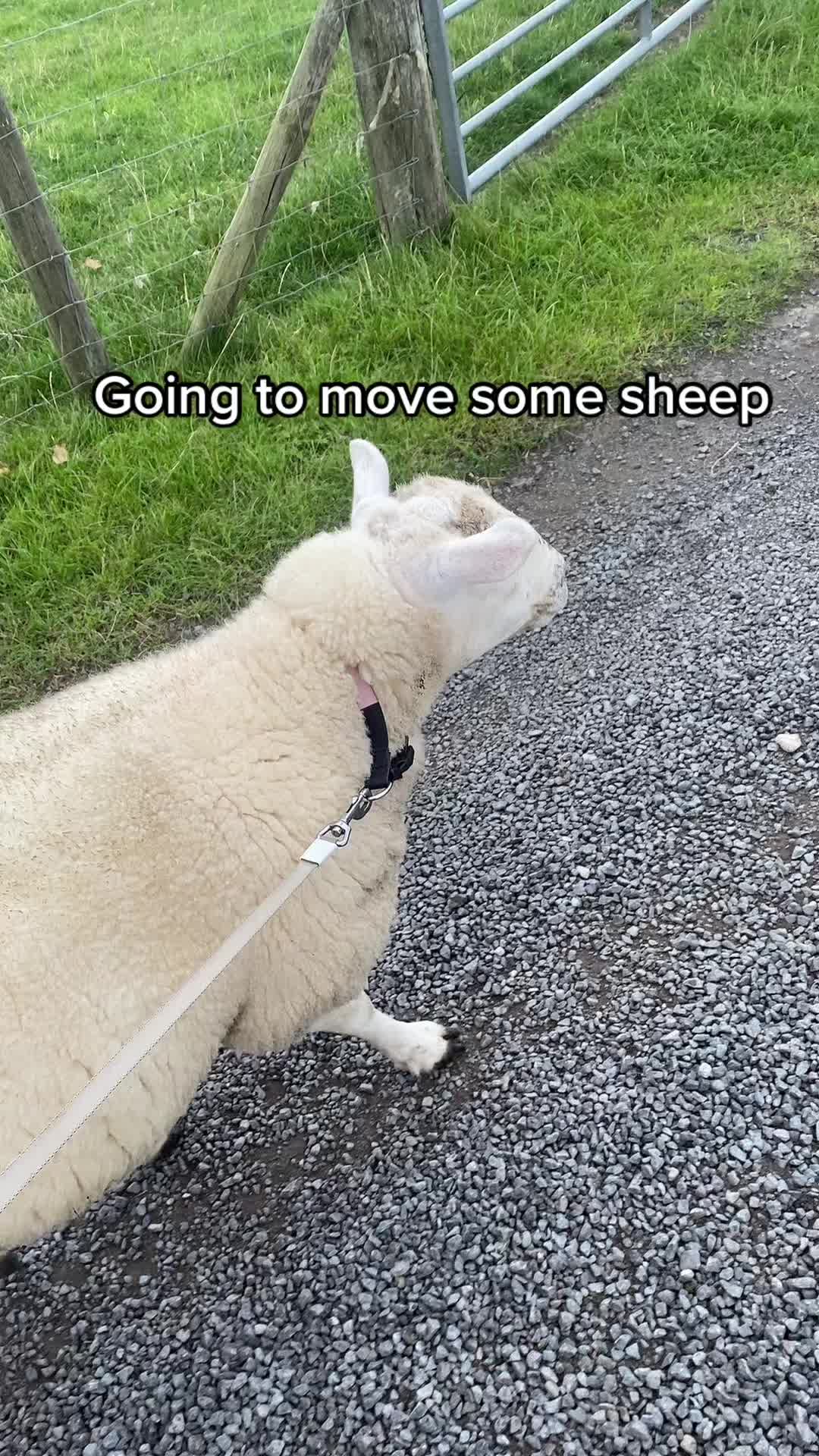 @Farming7744