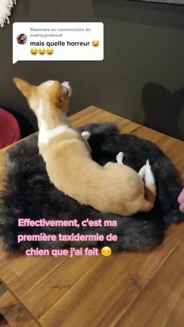 @May la taxidermiste 🇨🇦