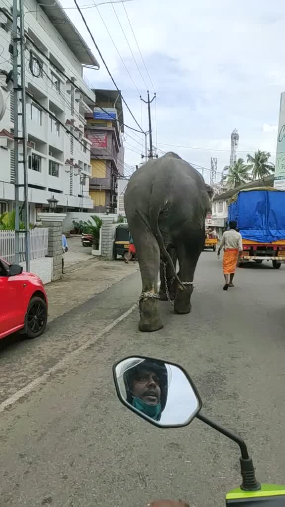 @renju