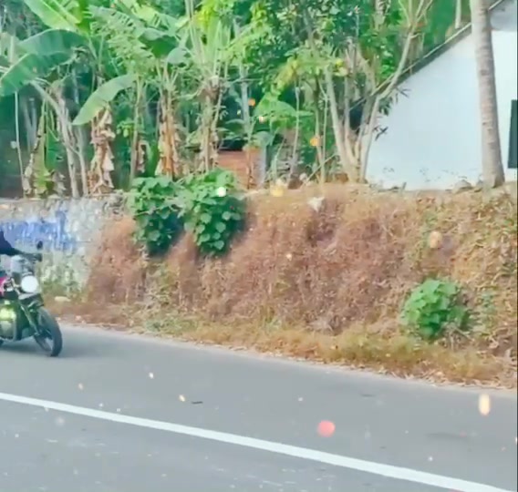 @Motoman_46