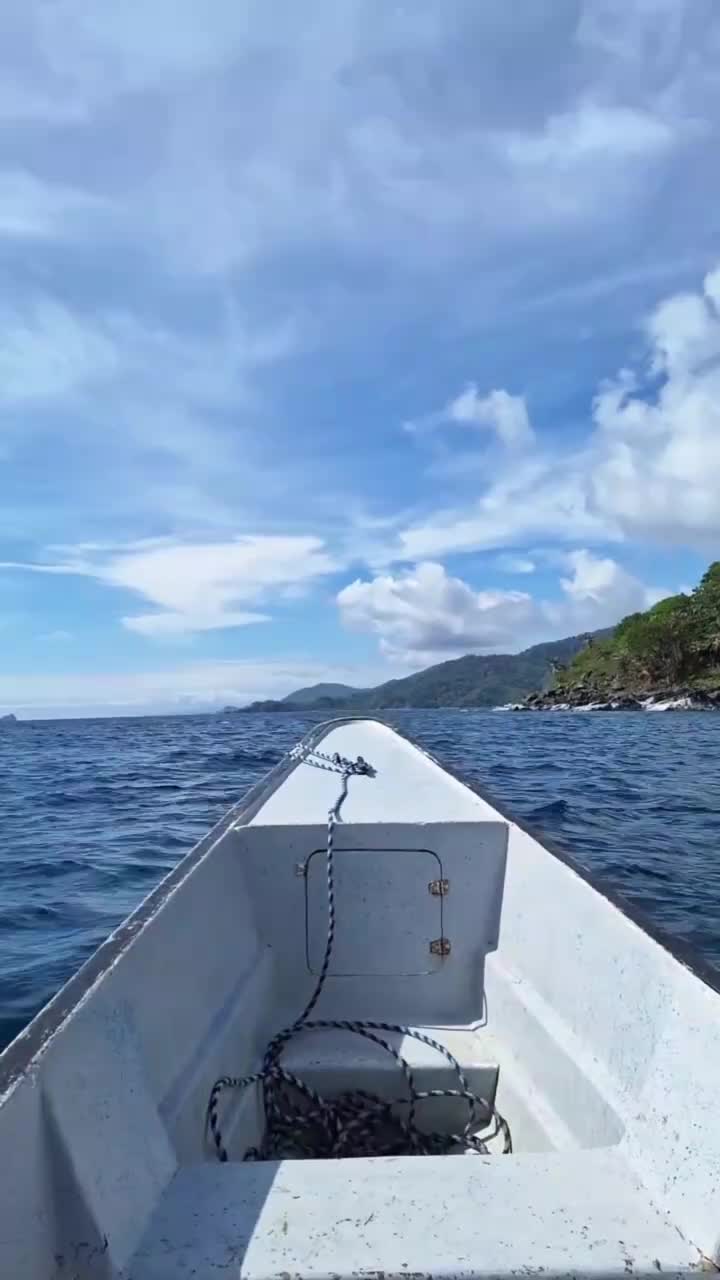 @María Paula Solarte.