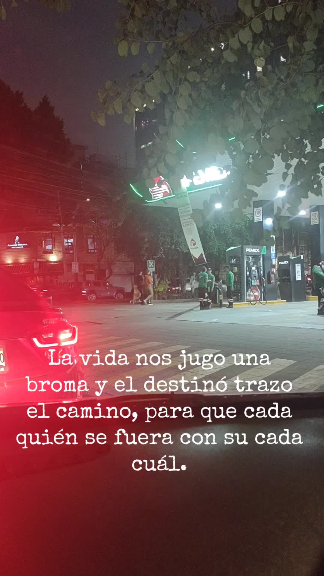 @😻 Estela 😻