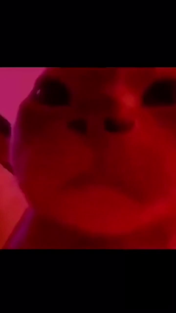 @assface