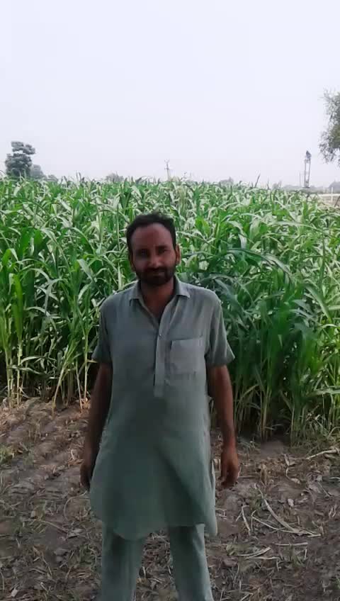 @user9708578189723