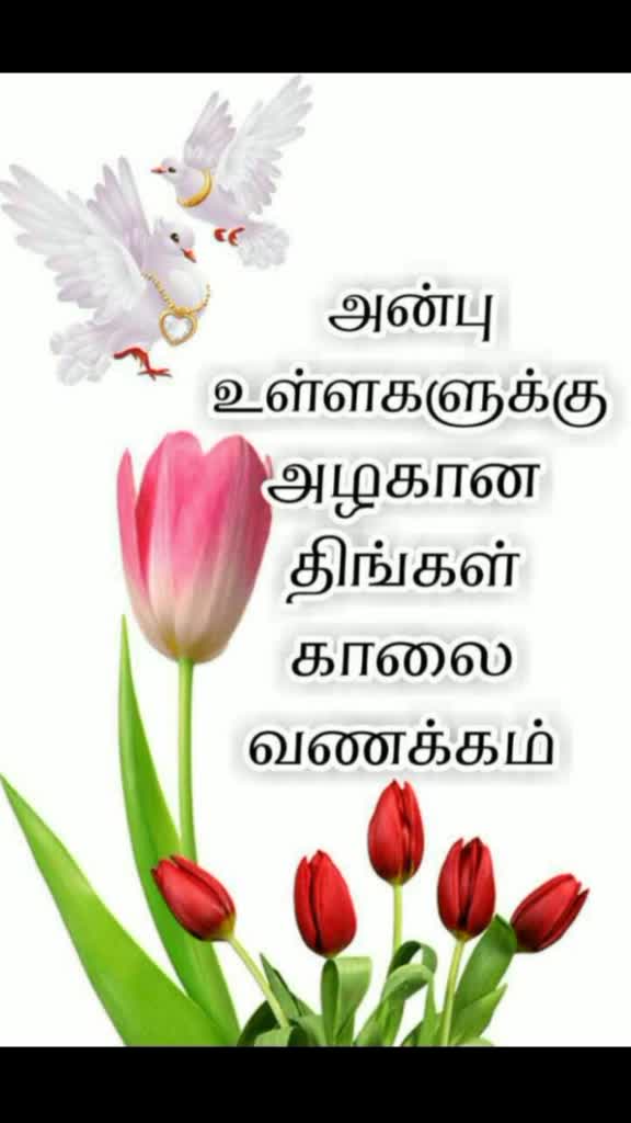 @Nasar s.k.