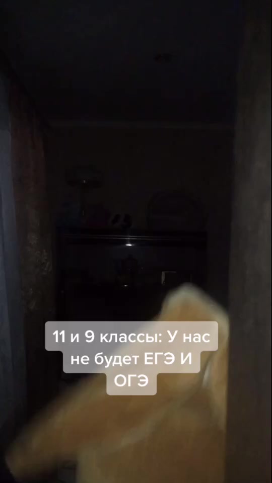 @holop_new {20к}