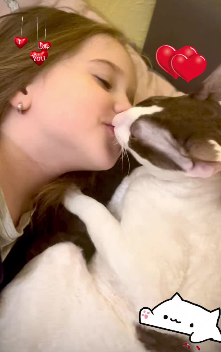 @patimolli_cattery