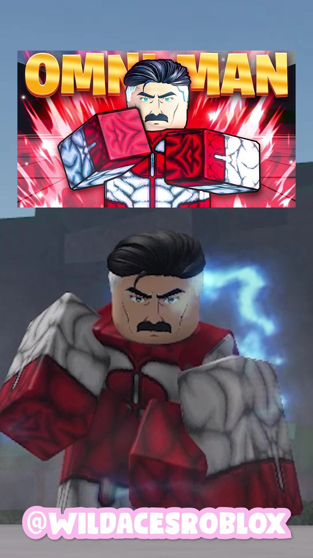 @Wildaces Roblox