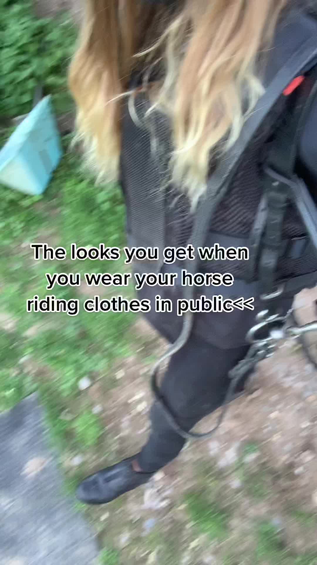 @horse tiktok
