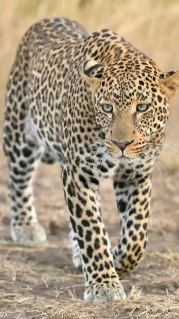 @🤫⚡Vishnu⚡🤫