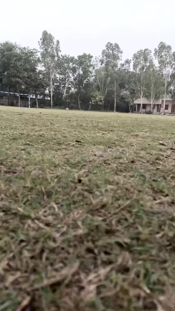 @Mani Randhawa