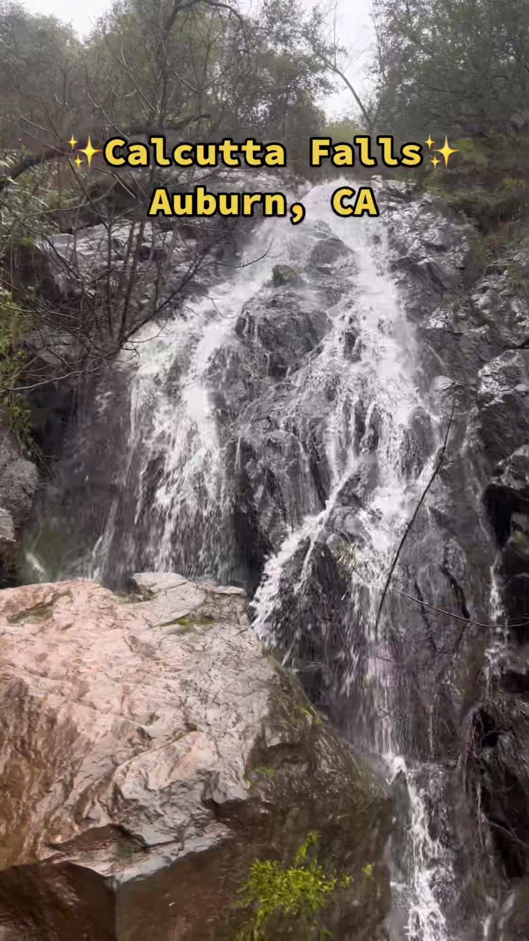 @Lisa Pearl
