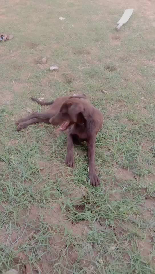 @@userg.dhanavandhini