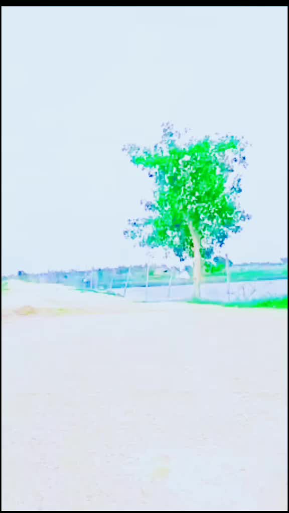 @Romeo raja