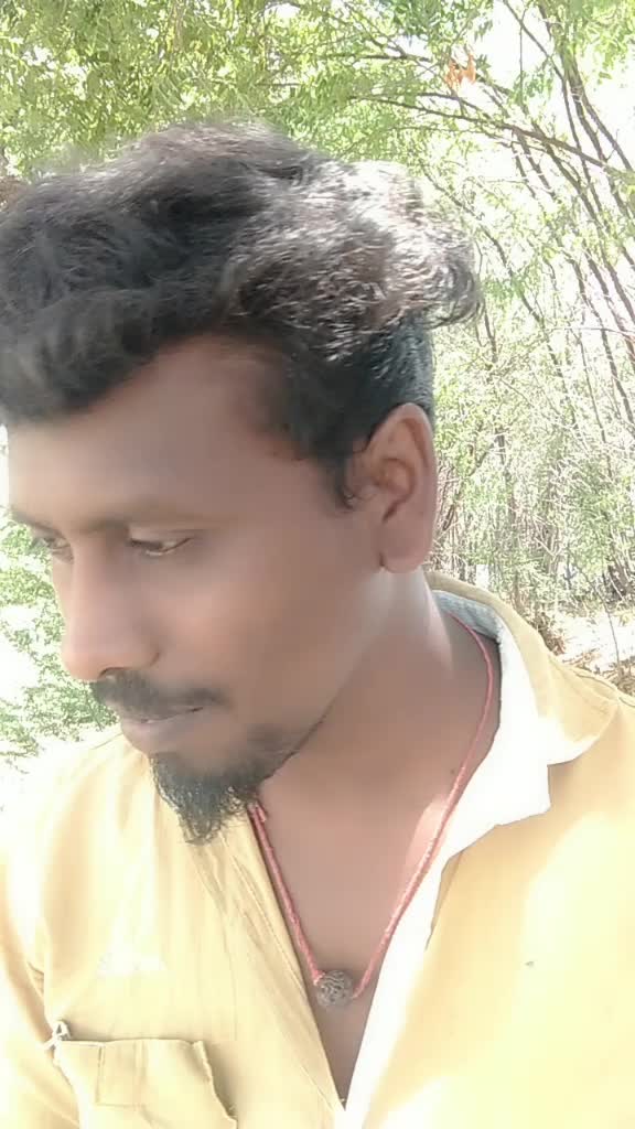 @பச்சை கிளி