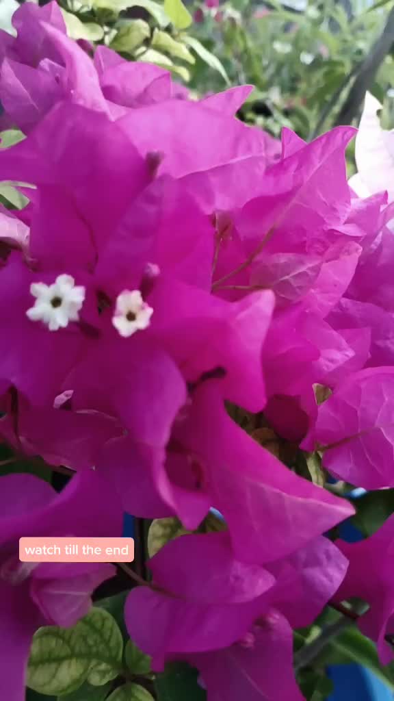 @Jai Kumar