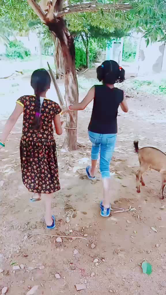 @prathapsingh9964