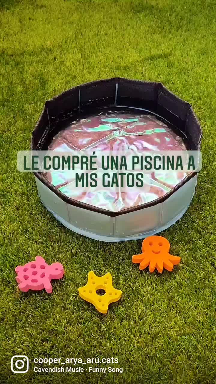@Cooper, Arya, Aru y Sully 🐾