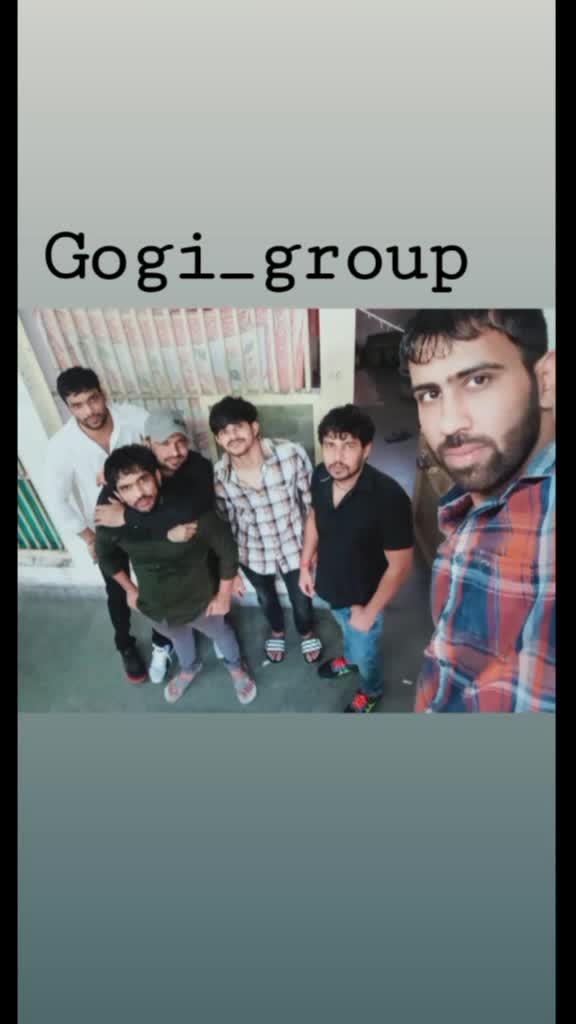 @gogi group