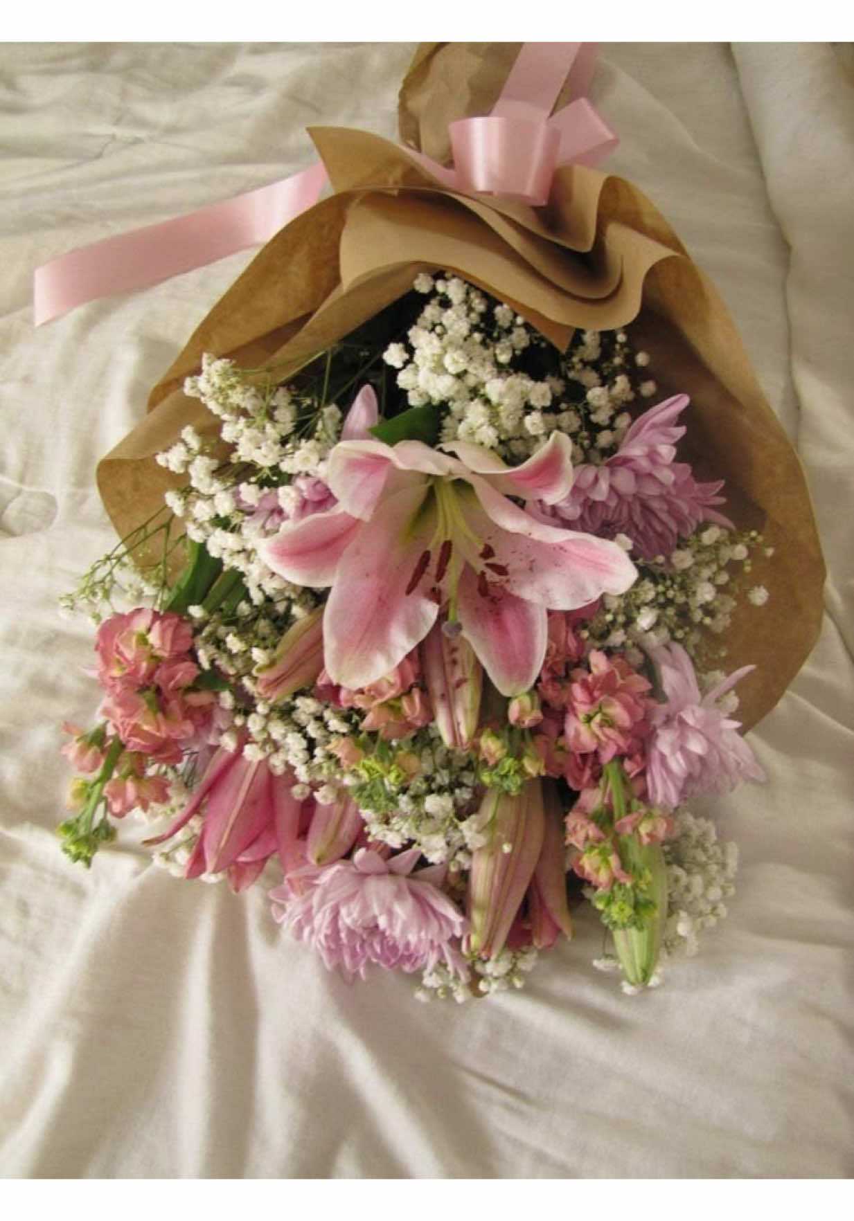 @☆ Jasmin ☆