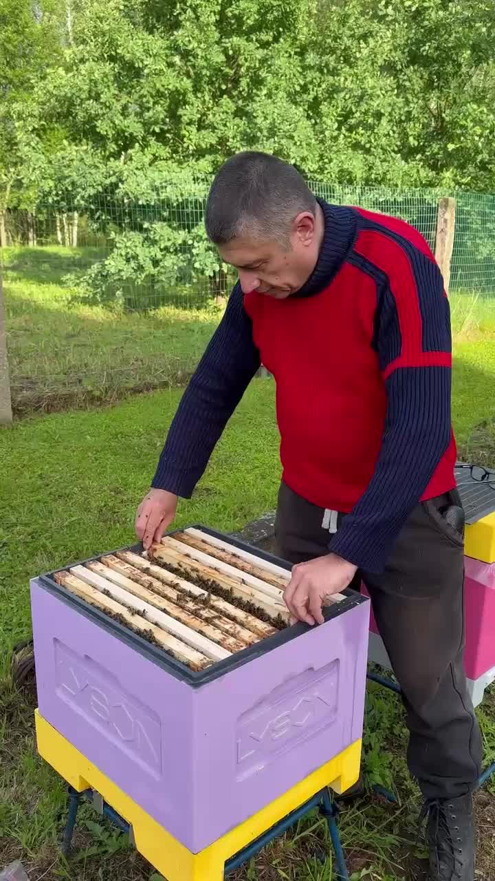 @Д̷е̷д̷ М̷а̷з̷а̷й̷