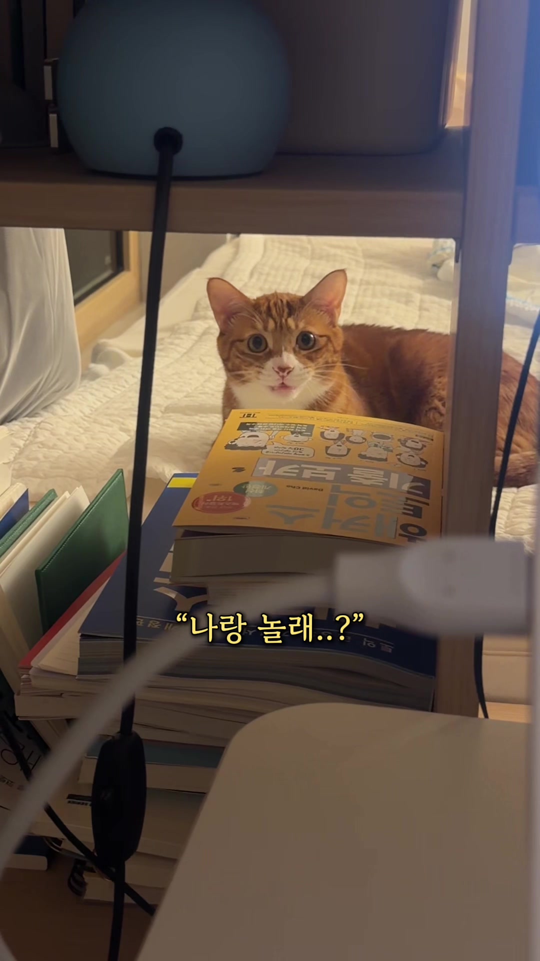 @뮤춘삼