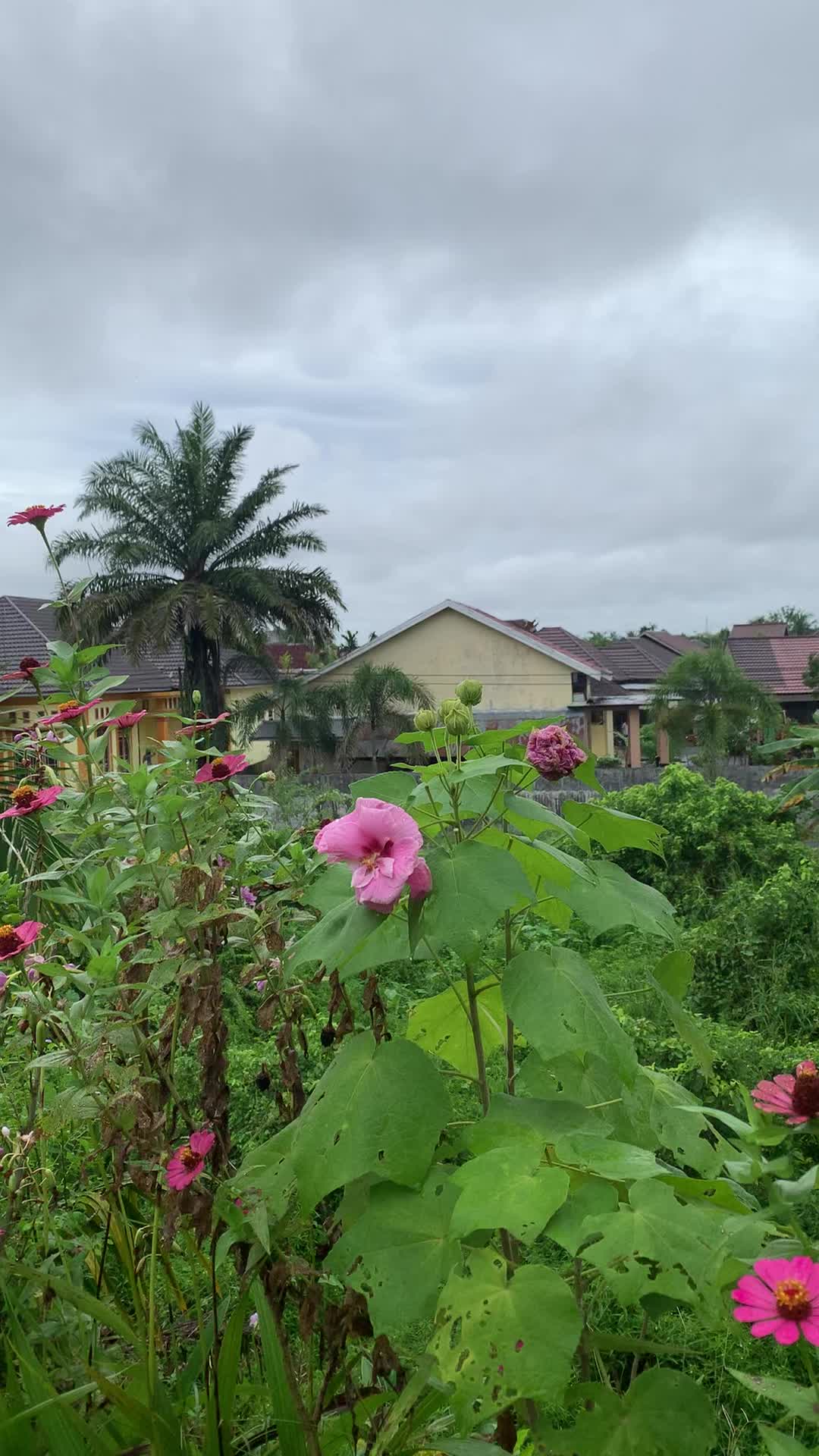 @Bukit Raya Guesthouse and Tour