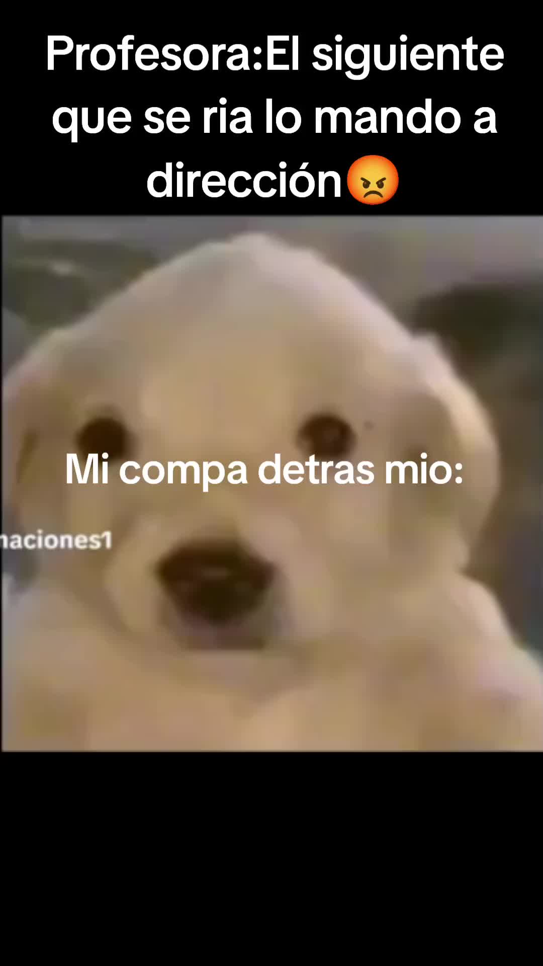 @Cheems_Waos ♦✷♦