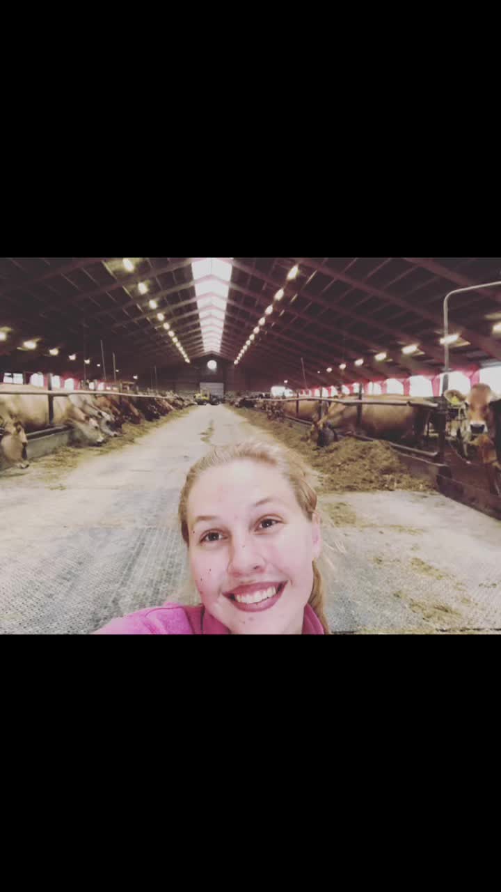 @amalie_rosenkjaer