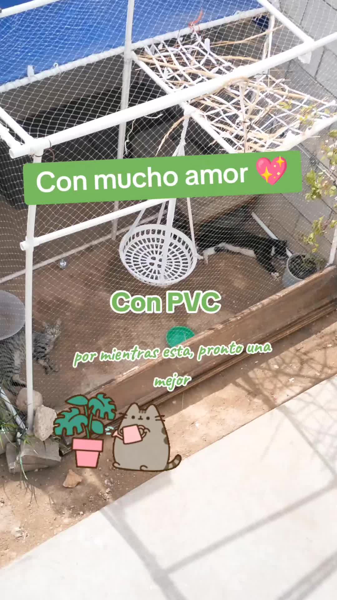 @Ale Rojo