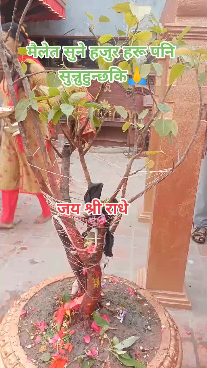 @Nirmala Tiwari