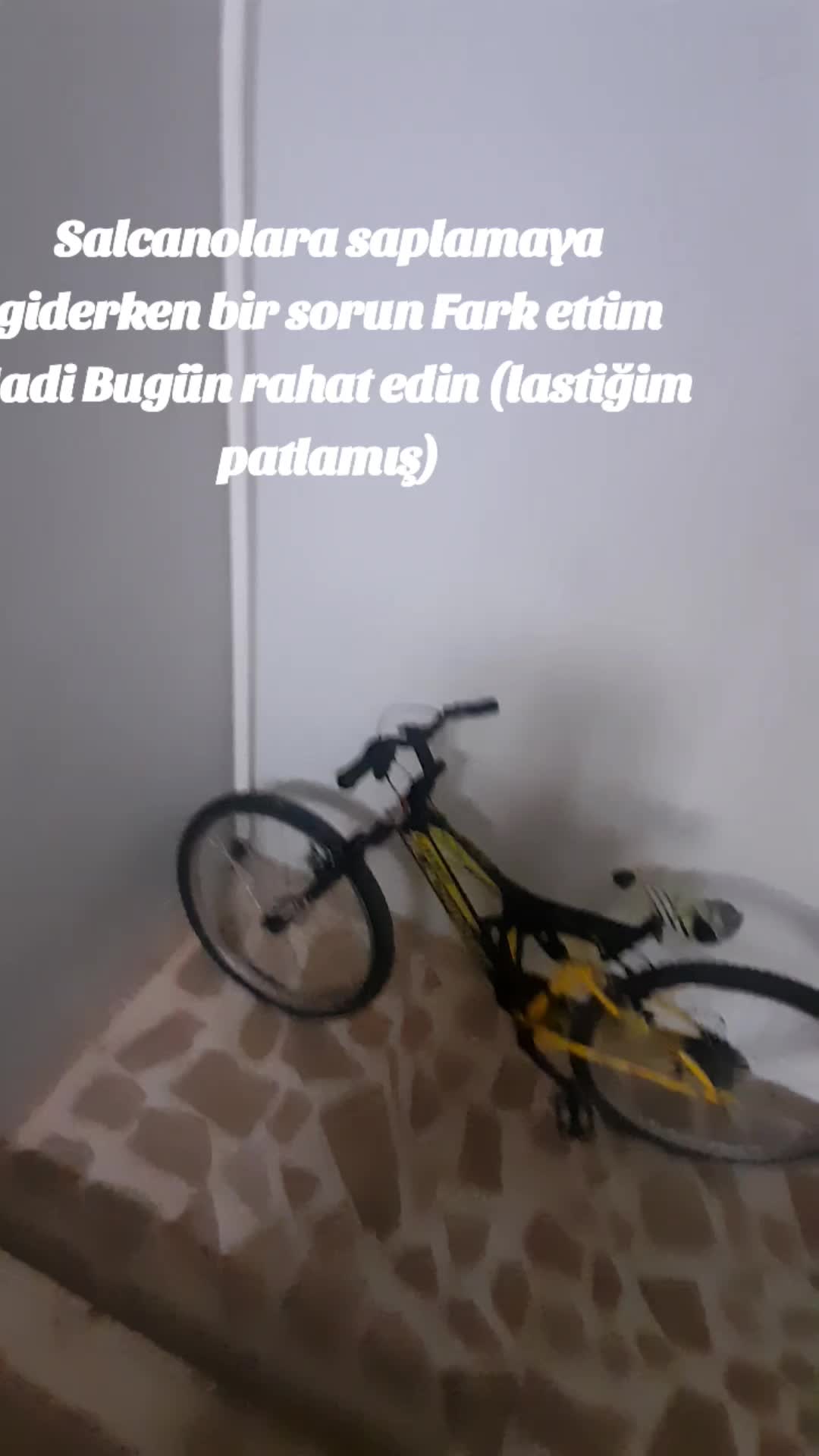 @Emir Kirişci