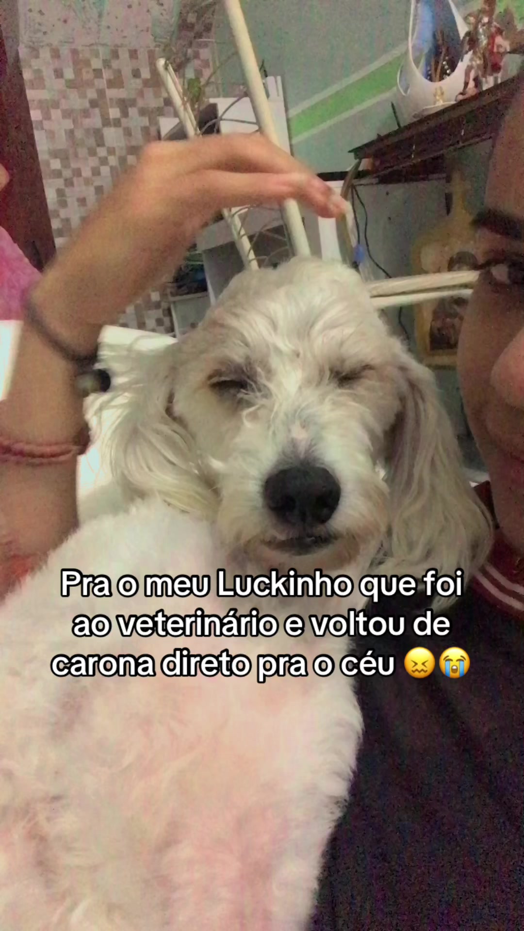 @yasminsabinno