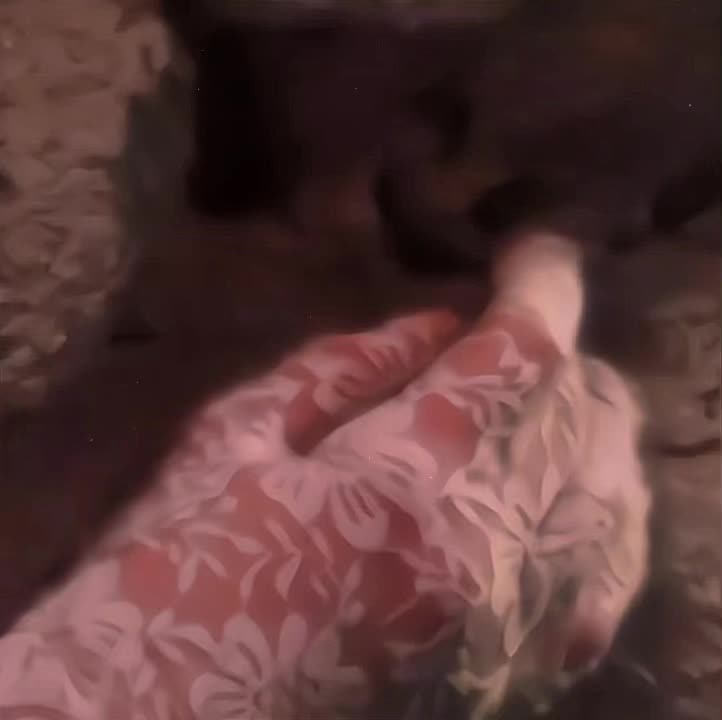 @🫧 ⋆.˚ ᡣ𐭩 .𖥔˚𝘚𝘐𝘓𝘒𝘠 ₊˚ෆ