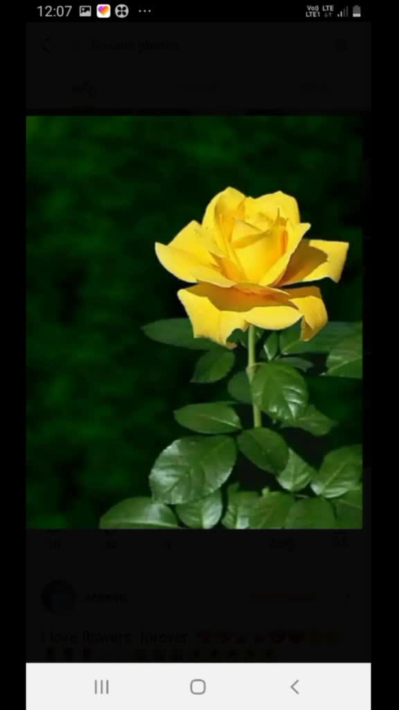 @user09469222006