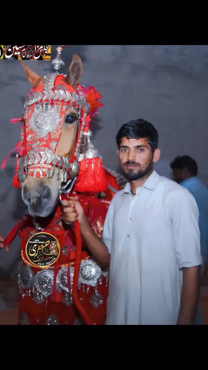@syednabeelhaider08