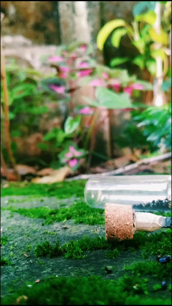 @_R_a_i_h_u_🌸
