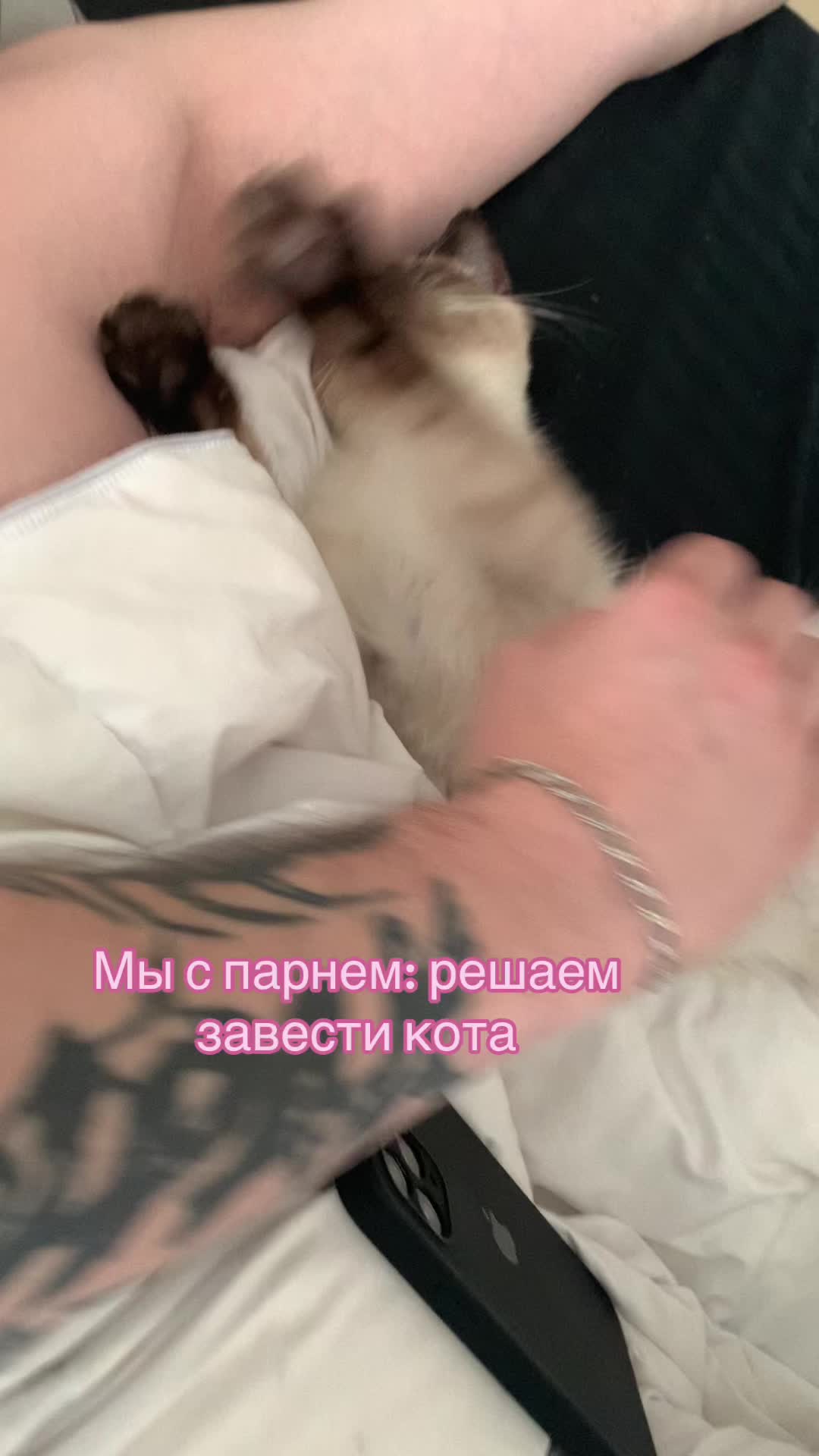@зефирка
