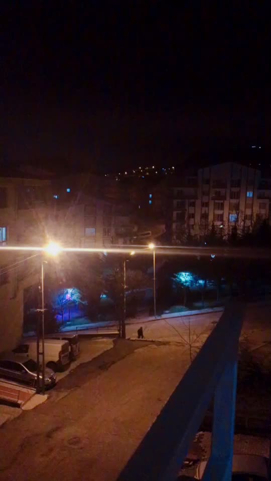 @Nejat Eldemir