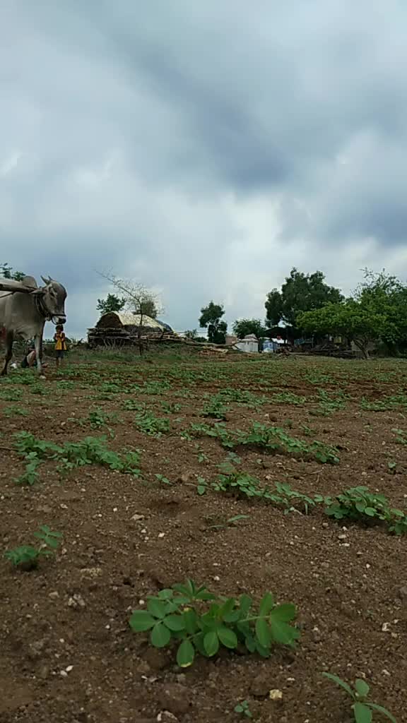@आकाश पानसरे पाटील