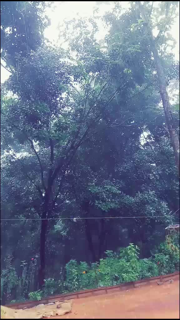 @ANIL KUMAR