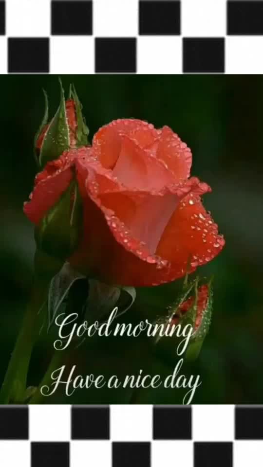 @ABHI