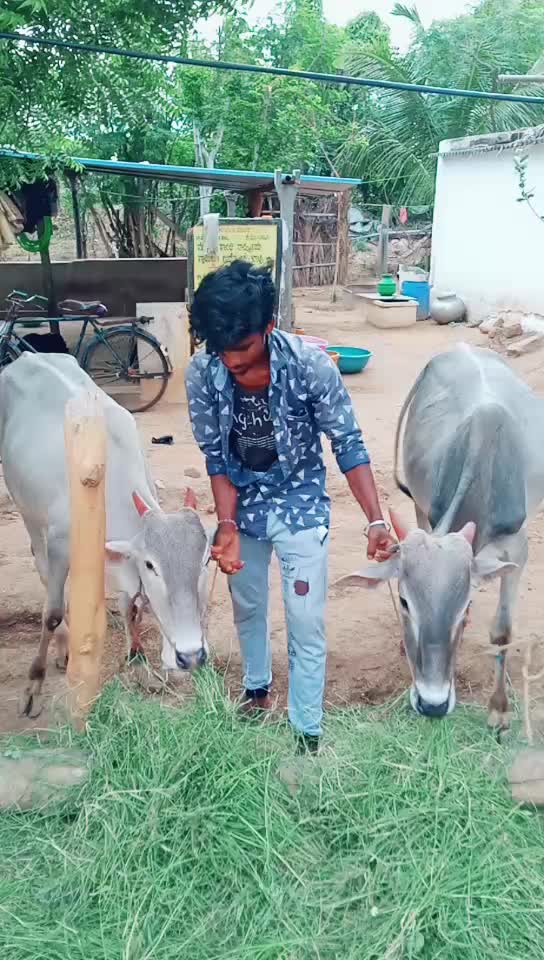 @ಅಪ್ಪು ಬಾಸ್ GS