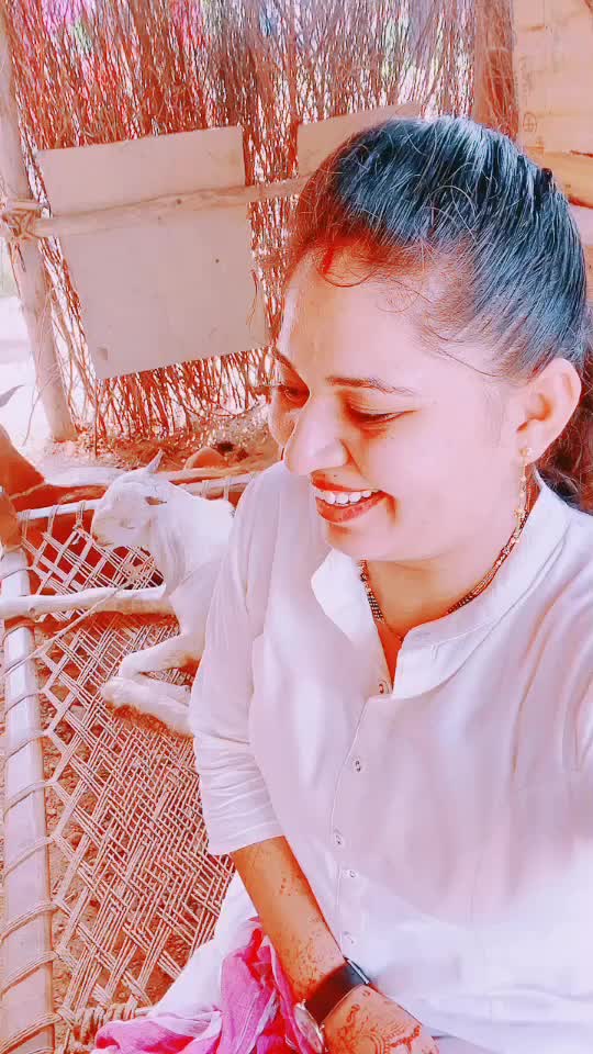 @Jalpa mal