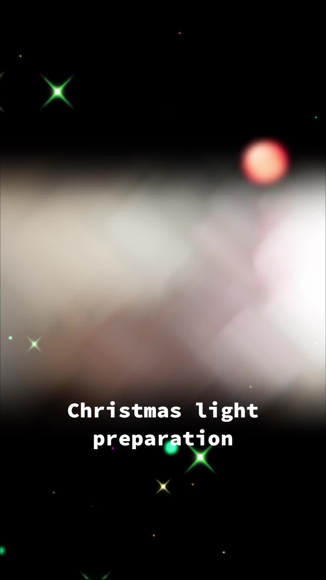 @swansonachristmaslights