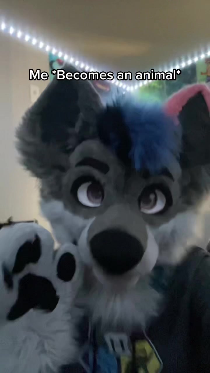 @DisjointWolfy