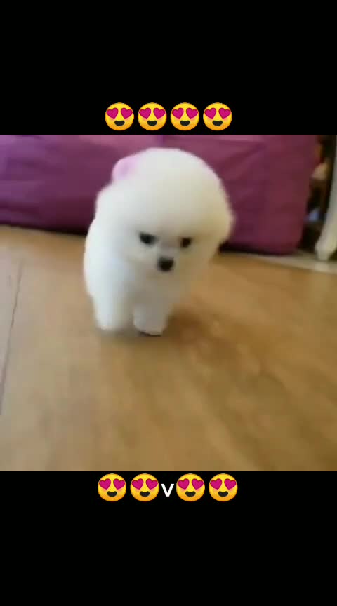 @status__ king__👑